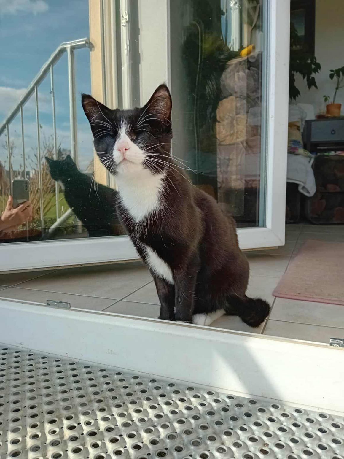 Abschied von Linda Abschied von Linda