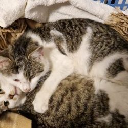 Herzlich willkommen, Tarzan und Jane