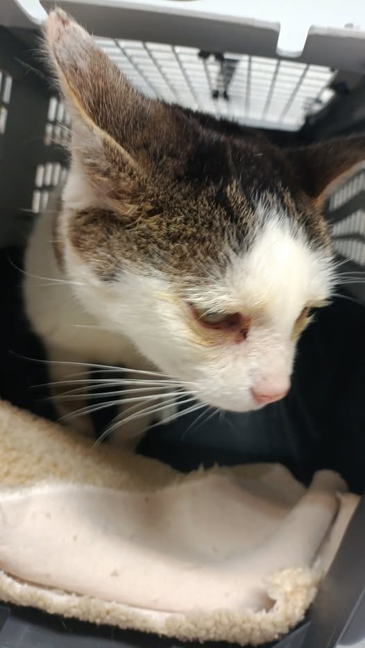 Abschied von Wilma Abschied von Wilma