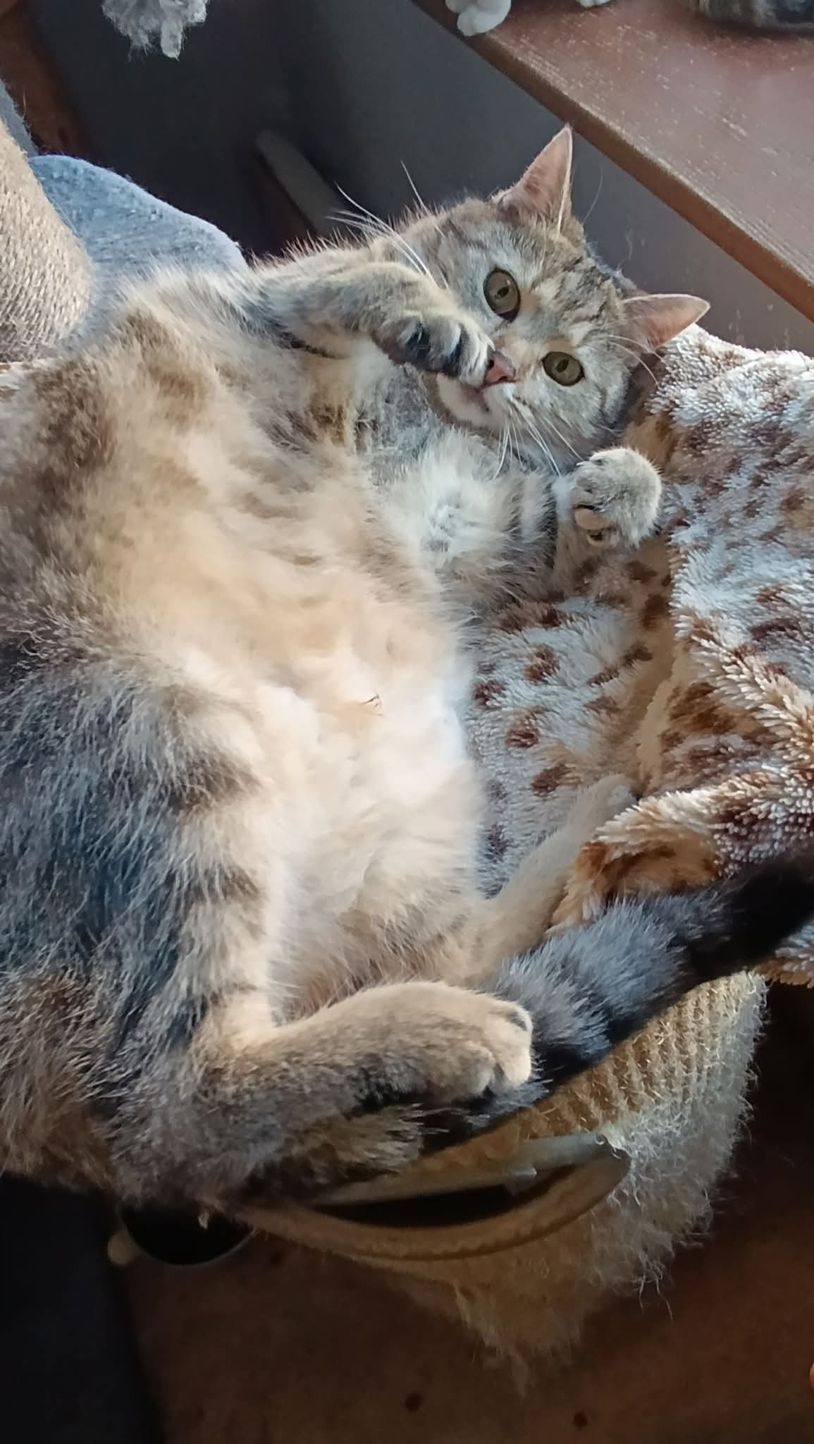 Abschied von Lumi Abschied von Lumi